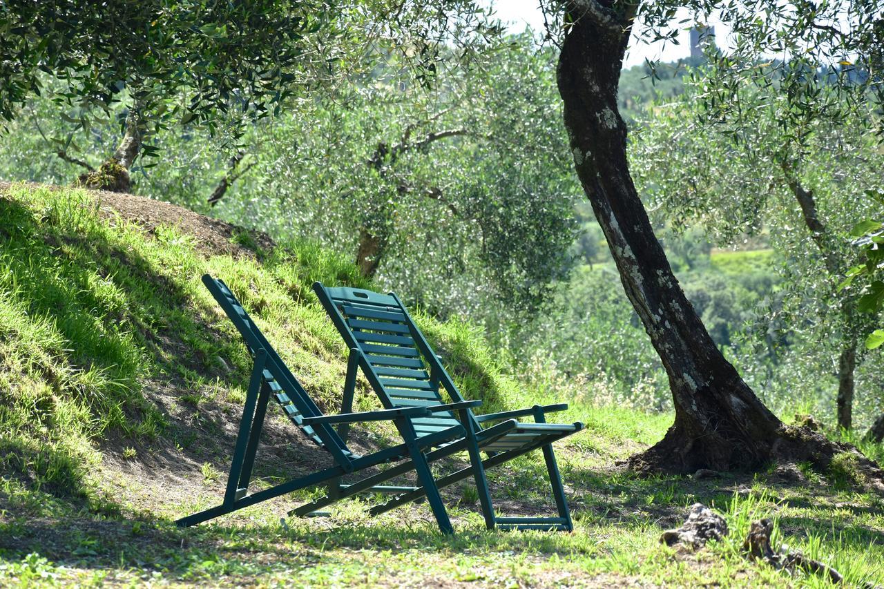 Palazzina Del Chiasso Bed & Breakfast San Martino in Freddana Exterior photo