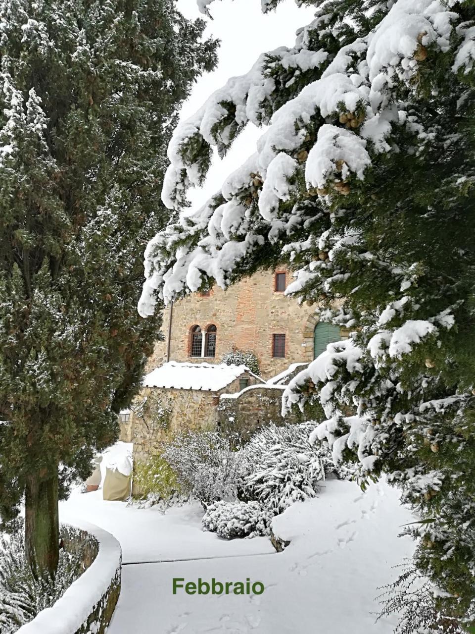 Palazzina Del Chiasso Bed & Breakfast San Martino in Freddana Exterior photo